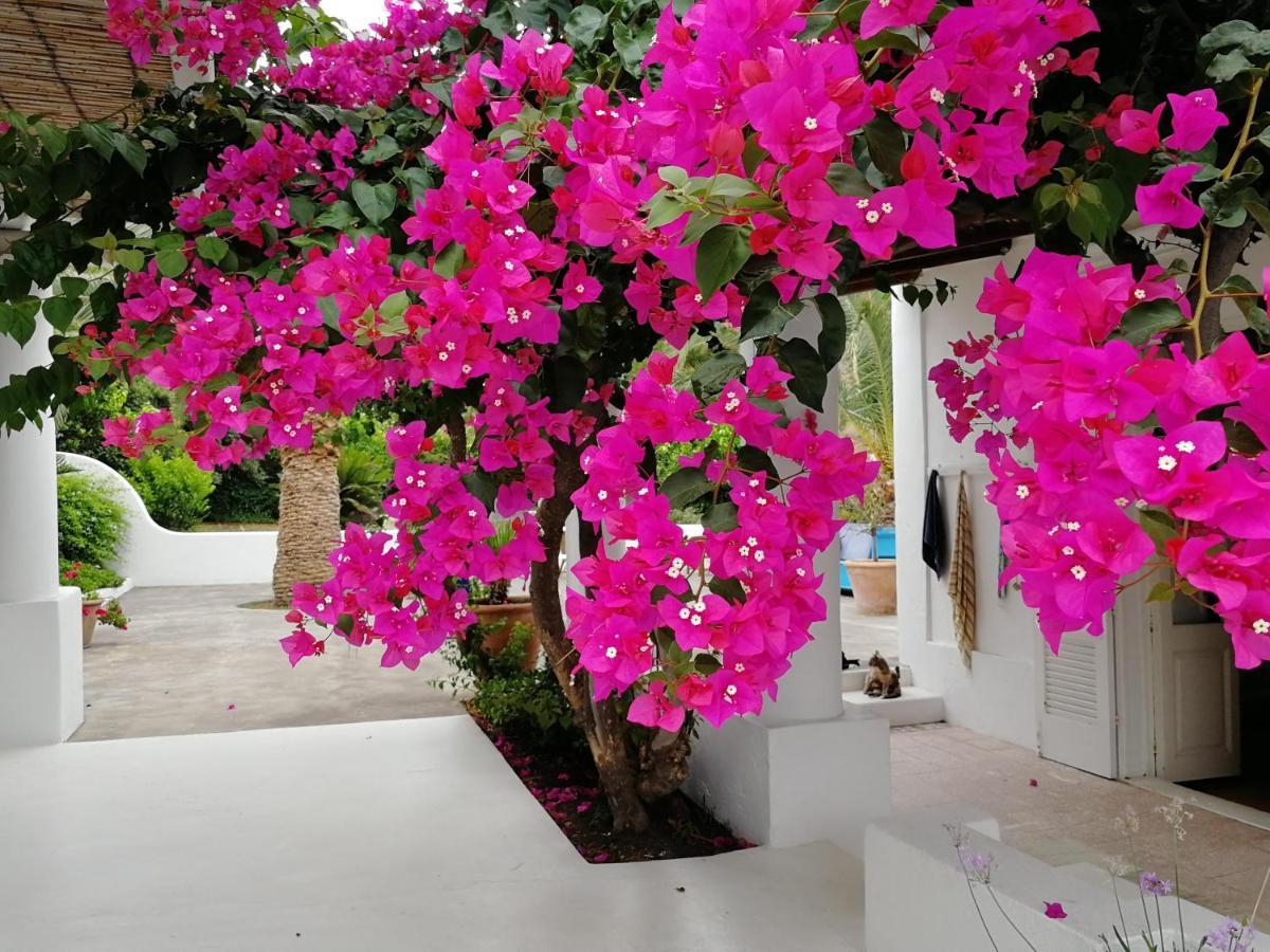 Bed and Breakfast Casa Carlotta Estrómboli Exterior foto